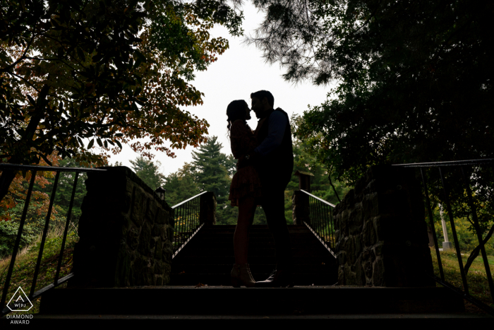 Paar-Portrait-Session vor der Hochzeit in der Hunting Hill Mansion im Ridley Creek State Park für ein Silhouettenbild auf den Stufen unter den Bäumen