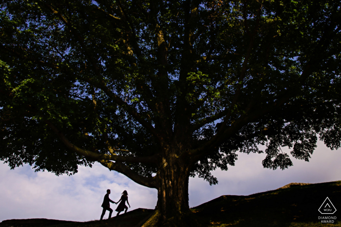 Liberty Memorial Kansas City couple engagement portraits with a couple enjoying a hike near a large tree