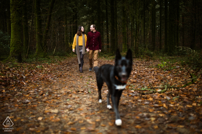 Adventurous, outdoor Camors, Morbihan engagement image for a France Couple and a dog