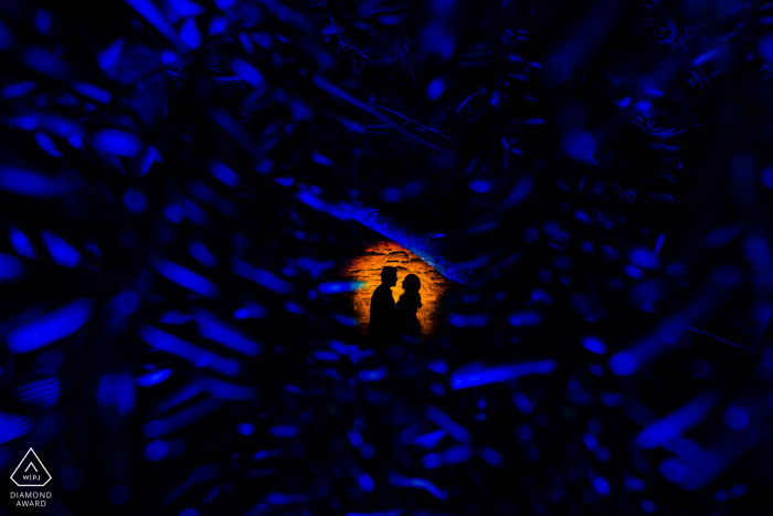 Ridley Creek State Park engagement photo session for a Couple silhouetted against the wall while photographed through tree branches