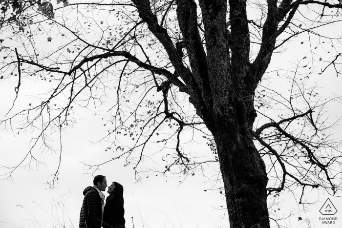 Nancy engagement photo session with a couple standing under a tree in black and white