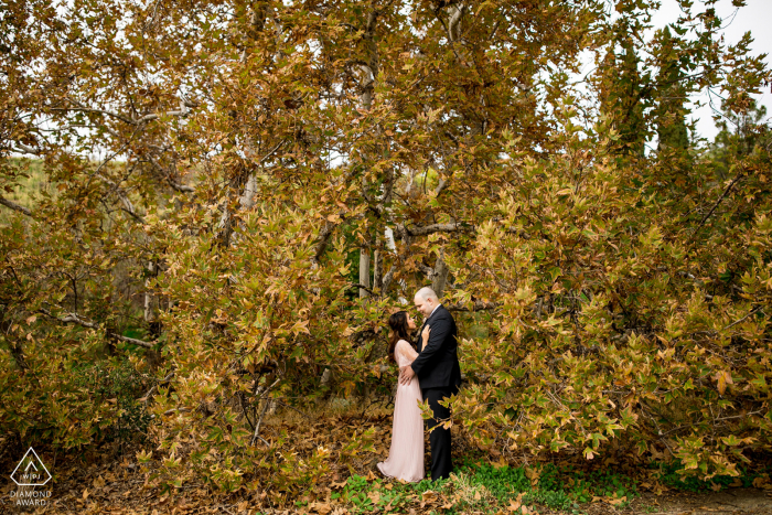 Una fotografia di fidanzamento di San Jose dopo la proposta di matrimonio all'Alum Rock Park creata sotto le foglie autunnali della California