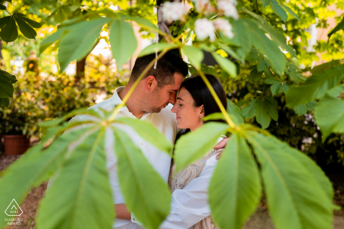 Nach dem Heiratsantrag Verlobungsfotosession in Gorizia, Italien, als das Paar sich unter dem Baum umarmt Nach dem Heiratsantrag Verlobungsfotosession in Gorizia, Italien, als das Paar sich unter dem Baum umarmt