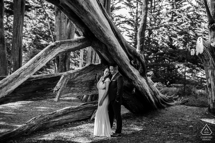 California couple poses for outdoor BW portraits in the forest to announce their Moss Beach engagement