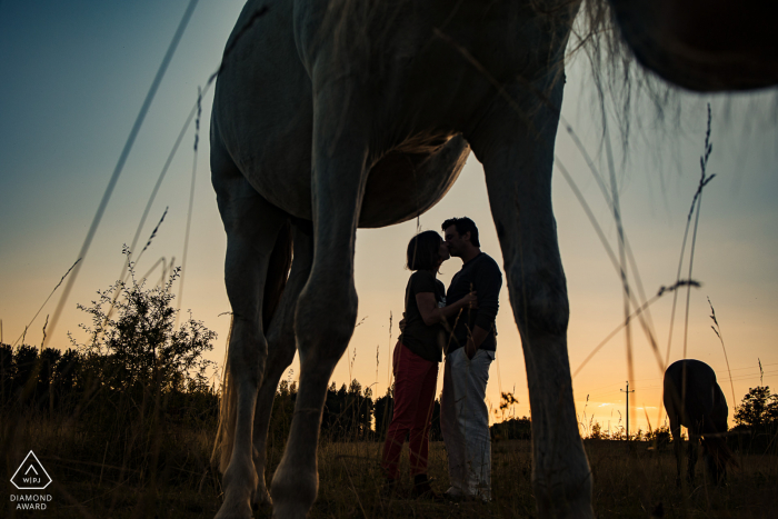 A Toulouse couple kissing under a horse together for a rustic France engagement announcement portrait session on the farm