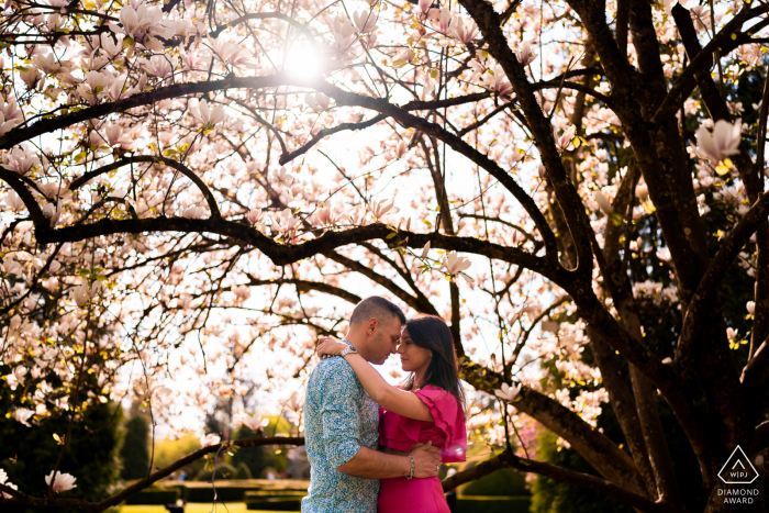 A newly engaged Slovenia couple poses in the middle of blossom for an engagement announcement portrait