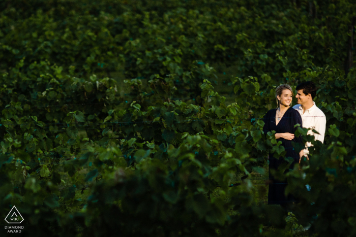 Sessão de fotografia de estilo de vida de Maryland no Running Hare Vineyard mostrando o casal em videiras