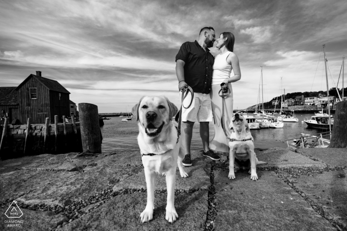 A lifestyle engagement portrait session in Rockport, MA for a couple posing with their two dogs on leashes