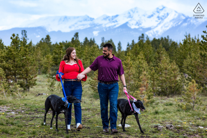 In den Bergen von Breckenridge, Colorado, eine verschneite Verlobungssitzung mit einem Paar und ihren Hunden in den Bergen