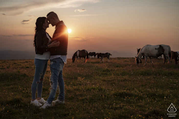 Engaged couple in love at sunset, horses grazing in background of Monte Subasio engagement portrait This engagement portrait in Monte Subasio shows the couple in love, with horses grazing in the background at sunset