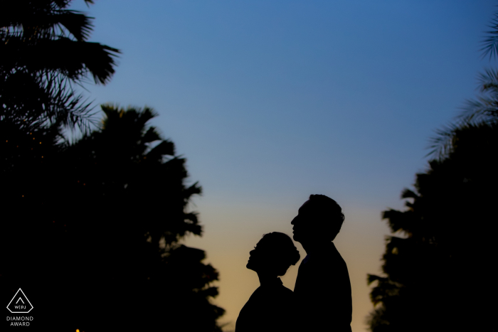 Um casal prestes a se casar no local The Tall Trees durante a sessão de retratos de noivado, com as silhuetas de suas cabeças emolduradas por árvores de cada lado, inclinadas para trás e voltadas para a mesma direção.