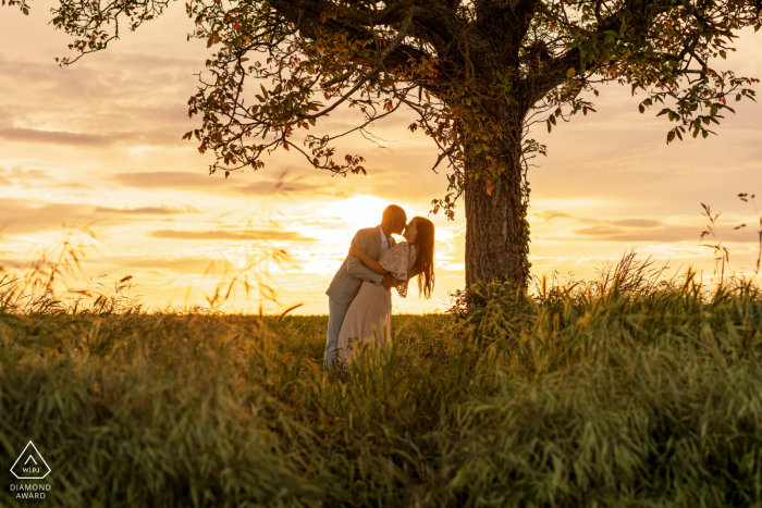 Couple embracing tenderly beneath a large tree, surrounded by golden hues of a sunset in Chatellerault's picturesque landscape.