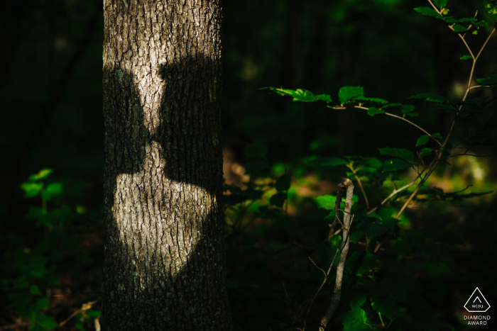 In Rhinebeck, NY, the shadows of the couple’s kissing profiles are cast onto a tree trunk, blending beautifully with the forest surroundings.