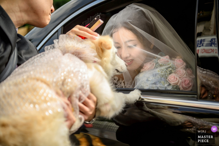 Photo by: <a href="https://www.wpja.com/contests/2018-v03-photography-competition/best-wedding-photographers/2185916">Minifeel Lu - Zhubei Hsin-chu</a> Taiwan bride with her dog that is dressed up for the wedding