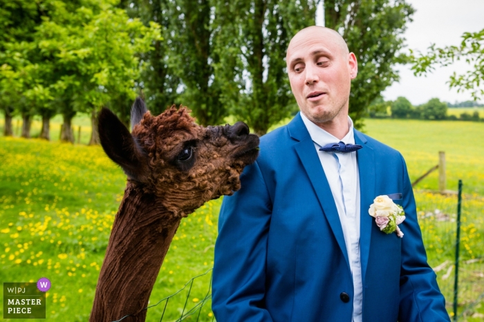 Foto por: <a href="https://www.wpja.com/contests/2018-v16/best-wedding-photographers/2322261"> Hong-Phuc Bui - Trégueux </a> Fotografía de boda de Cotes-d'Armor - foto humorística del novio con gran expresión