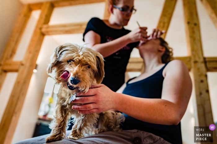 Zdjęcie: <a href="https://www.wpja.com/contests/2018-v17/best-wedding-photographers/2341866"> Tobias Löhr - Niddatal Hessen </a> Zdjęcia ślubne autorstwa Hesse fotografa panny młodej trzymającej psa na kolanach, gdy stosuje się makijaż