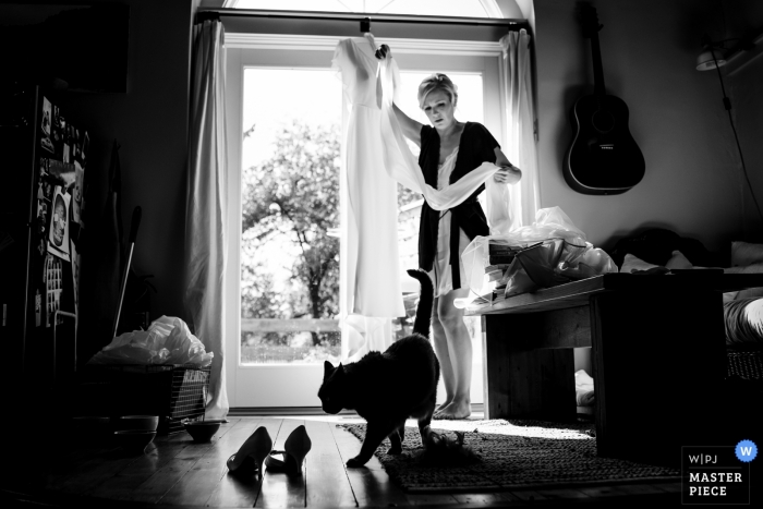 Foto: <a href="https://www.wpja.com/contests/2018-v17/best-wedding-photographers/2343186"> Jacob Hannah - Lincoln Vermont </a> Dokumentarfilm-Hochzeitsfoto Ferrisburghs, Vermont der Braut mit ihrem hängenden Kleid und einer gehenden Katze