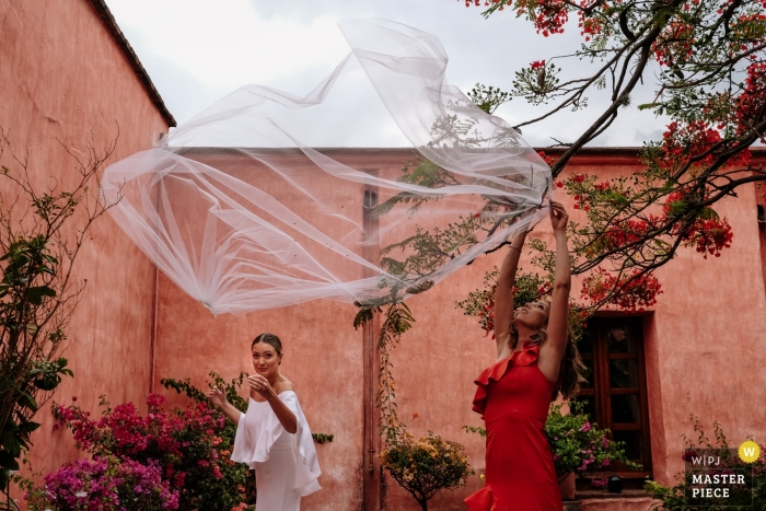 Oaxaca City, Oaxaca, Mexico foto van de sluier. Een eigen hoofd, omhoog gaan en in de boom blijven haken