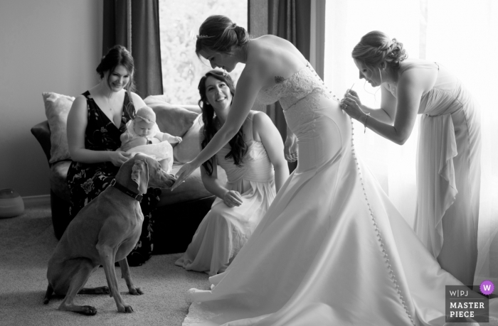 Photo by: <a href="https://www.wpja.com/contests/2019-v04/best-wedding-photographers/2466761">Kathi Robertson - Ottawa Ontario</a> Black and white photo of a bridesmaid helping the bride with her dress as she pets a dog at the Ottawa Hunt Club by a Canada wedding photographer.