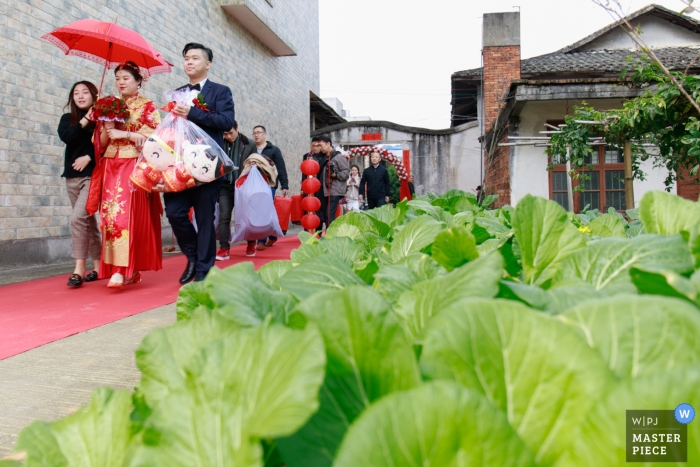 Bild der Braut und des Bräutigams gehen durch das Gemüsefeld vor ihrem Haus in Fuzhou, China