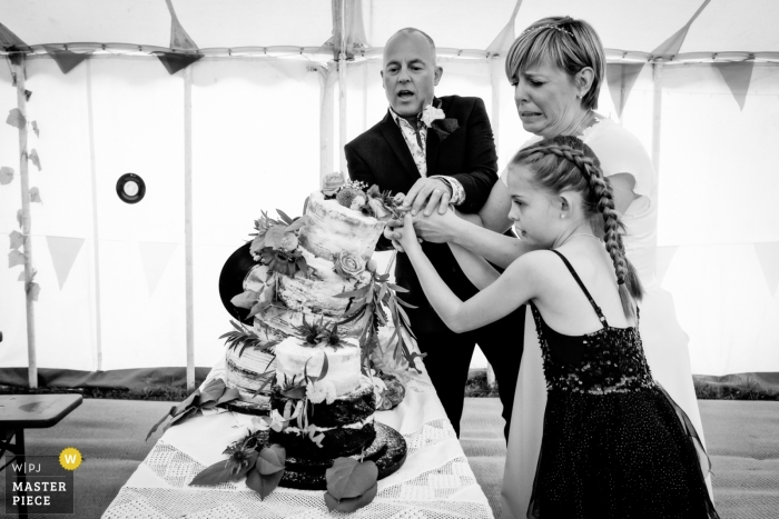 Photo by: <a href="https://www.wpja.com/contests/2019-v05/best-wedding-photographers/2476826">Neil Pleasants - St Albans Hertfordshire</a> Field Good Bar (Bath) - Wedding Photo - The cake cutting didnt quite go according to plan as it topples...brides face says it all