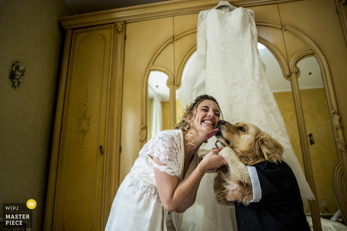 Photo by: <a href="https://www.wpja.com/contests/2019-v05/best-wedding-photographers/2479931">Pasquale Minniti - Reggio Calabria</a> palmi- reggio calabria - photo of the dog's greeting to the bride
