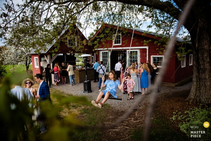 Photo by: <a href="https://www.wpja.com/contests/2019-v05-photography-competition/best-wedding-photographers/2484161">Megan Hannah - Lincoln Vermont</a> Tourterelle - New Haven, Vermont Wedding Photography | Picture of a young girl swinging in a tree amongst guests enjoying cocktail hour.