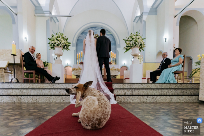 Photo by: <a href="https://www.wpja.com/contests/2019-v06/best-wedding-photographers/2489631">Eric Corbacho - São Caetano do Sul São Paulo</a> São Paulo Church Wedding Photographer: "Why did the dog come into the church? to see the wedding and give a scratch."