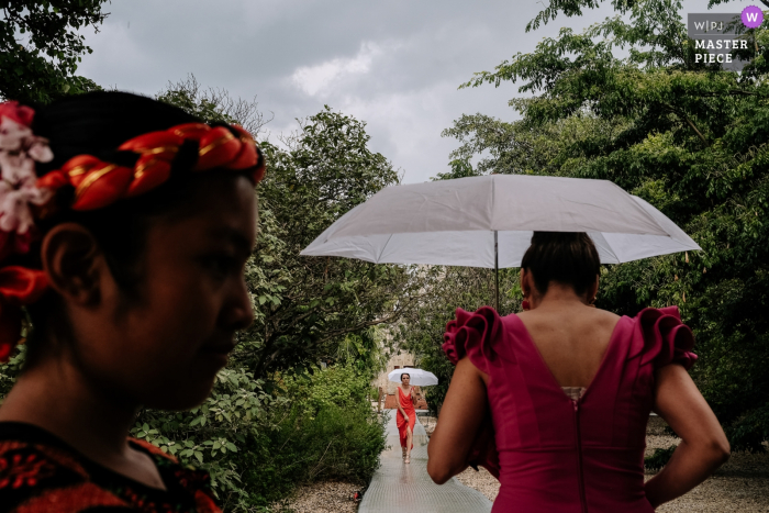 Hochzeitsgäste gehen einen Weg entlang, der Regenschirme an einem regnerischen Tag in Santo Domingo de Guzman trägt.