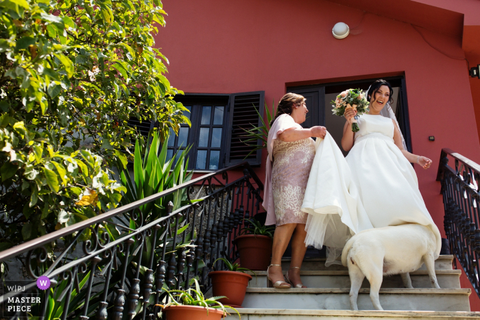 O cão espreita o vestido da noiva antes da cerimónia na Vila de Lordelo nesta fotografia premiada composta por um fotógrafo de casamentos ao estilo documentário de Braga, Portugal.