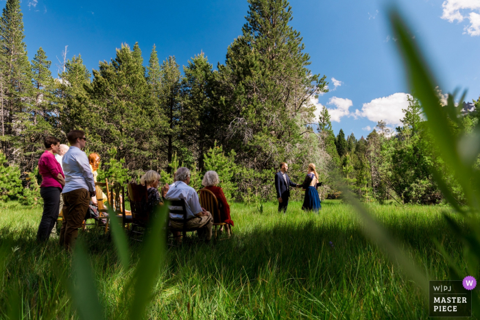 Een bruid en bruidegom trouwen in een weiland met hun dierbaren die toekijken tijdens een informele en intieme schaakceremonie in South Lake Tahoe, CA