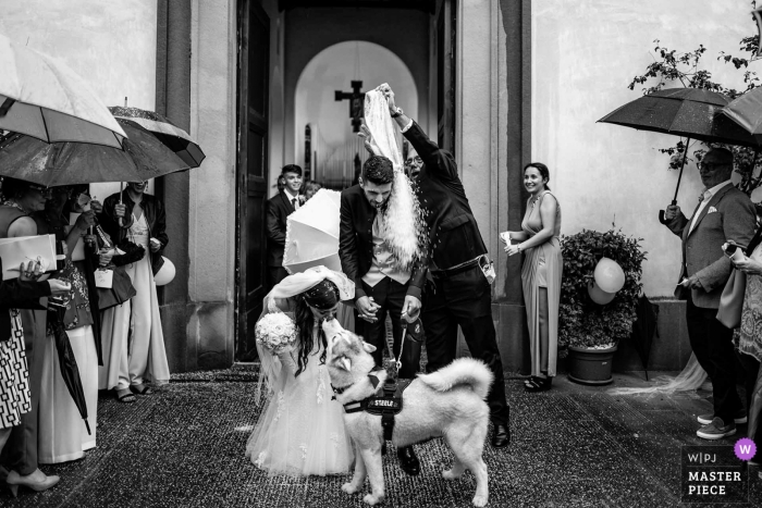 Photo by: <a href="https://www.wpja.com/contests/2019-v09/best-wedding-photographers/2531711">Alessandro Colle - Massa Massa-Carrara</a> Bride and groom exiting the church as they are doused after the ceremony, Montespertoli