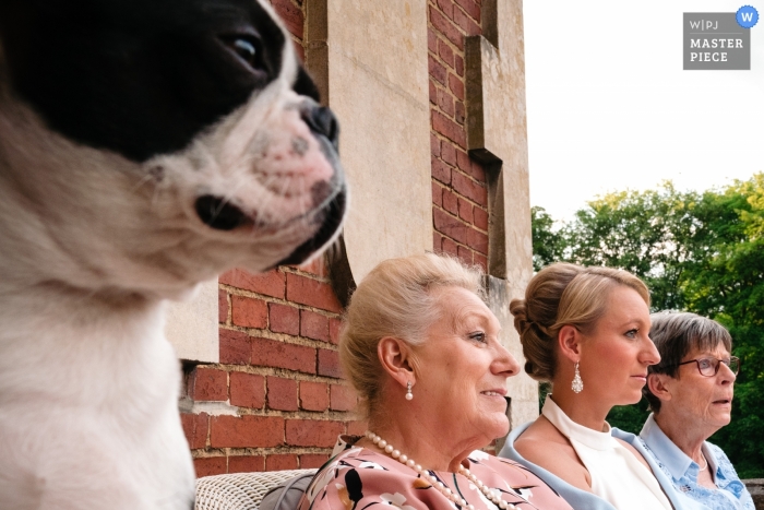 Photo by: <a href="https://www.wpja.com/contests/2019-v09/best-wedding-photographers/2540771">Yves Schepers - Bonheiden Antwerpen</a> Flanders Wedding Photos at Privately owned castle - 4 women on a row