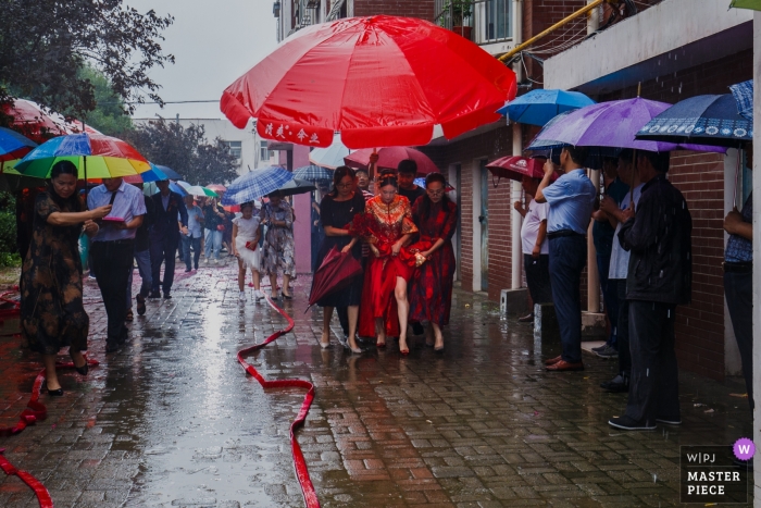 Zdjęcie: <a href="https://www.wpja.com/contests/2019-v10/best-wedding-photographers/2543709"> Vincent Mu - De Zhou </a> Fotografia ślubna Shandong - witaj pannę młodą w deszczu pod parasolami w dniu ślubu.