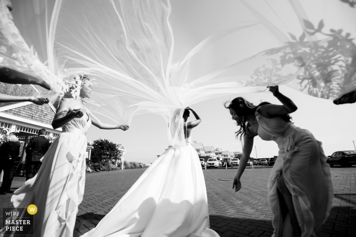 Zdjęcie: <a href="https://www.wpja.com/contests/2019-v11/best-wedding-photographers/2545827"> Alex Paul - Boston Massachusetts </a> Czarno-białe zdjęcie panny młodej otrzymującej pomoc od druhen na ślub Wychmere Beach Club.