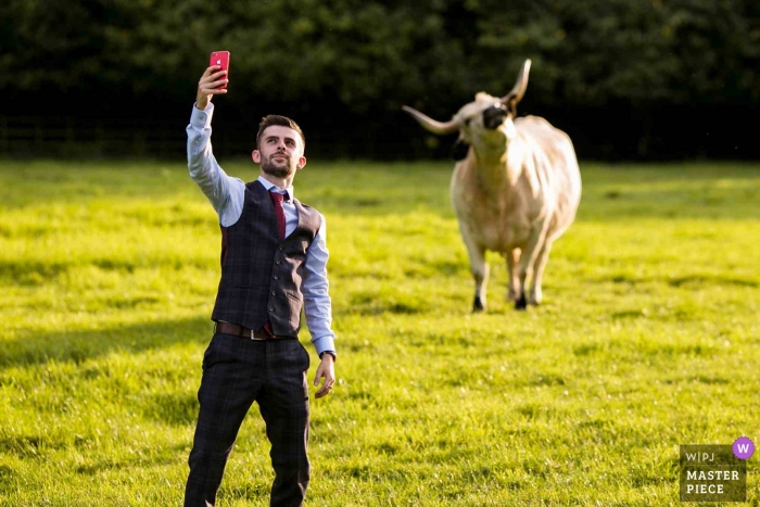 Hothorpe Hall, Northants, Wielka Brytania – Gość weselny robiący sobie krowie selfie na przyjęciu