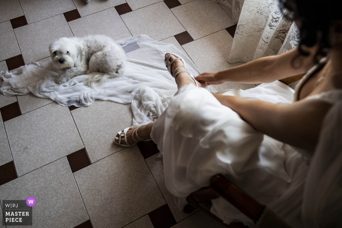 Photo by: <a href="https://www.wpja.com/contests/2019-v14/best-wedding-photographers/2553974">Pasquale Minniti - Reggio Calabria</a> The bride get ready with a dog on her dress - reggio calabria wedding photography
