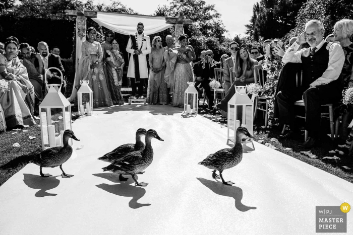 Foto von: <a href="https://www.wpja.com/contests/2019-v15/best-wedding-photographers/2555036"> Aaron Storry - Kettering Northamptonshire </a> Northbrook Park, Surrey, Großbritannien - Hochzeitsfotografie von Ducks Crossing