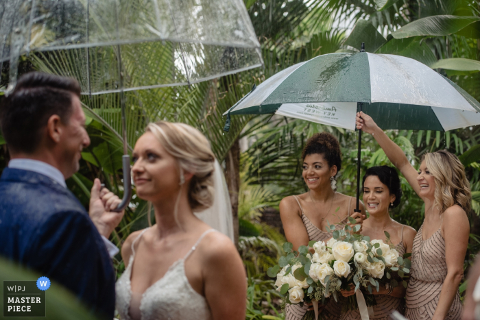 Photo by: <a href="https://www.wpja.com/contests/2019-v16/best-wedding-photographers/2561249">Julie Ambos - Key West Florida</a> Hemingway House Key West Wedding Photography from a Rainy Ceremony