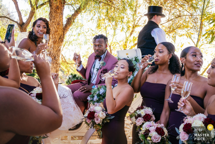 Photo by: <a href="https://www.wpja.com/contests/2019-v17/best-wedding-photographers/2562744">Kristina Cazares Neri - San Diego California</a> Temecula, CA wedding photographer ... Couple cheers with the wedding party
