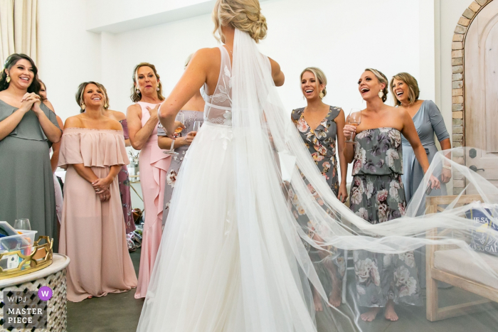 Photo by: <a href="https://www.wpja.com/contests/2019-v18/best-wedding-photographers/2566489">Cindy Brown - Atlanta Georgia</a> Wedding photography from Wrightsville Manor, Wrightville, SC | Bridesmaids and Mom react to wedding dress reveal