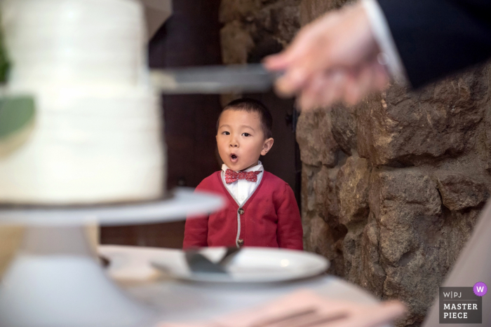 Berkeley, CA, wedding reception photos. Boy reacts to the cake-cutting.