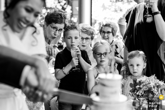 Photo by: <a href="https://www.wpja.com/contests/2019-v19/best-wedding-photographers/2568697">Elke Teurlings - Geldrop Noord Brabant</a> Netherlands Reception Photography after Wedding: Three children are looking at the cake cutting. Grandma is pointing at something on the cake, while the oldest kid sticks his tongue in his glass. The knife, cake and bride are visible in the foreground.