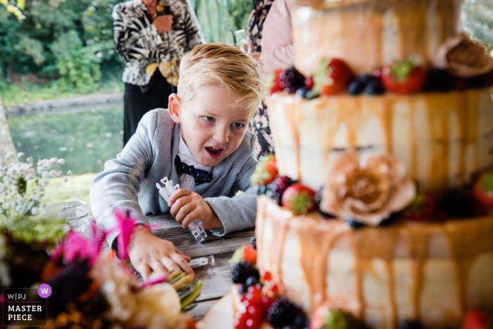 Photo by: <a href="https://www.wpja.com/contests/2019-v19/best-wedding-photographers/2570475">Karin Bunschoten - Leusden Utrecht</a> Netherlands Reception venue photography - Little boy wants to 'attack' wedding cake