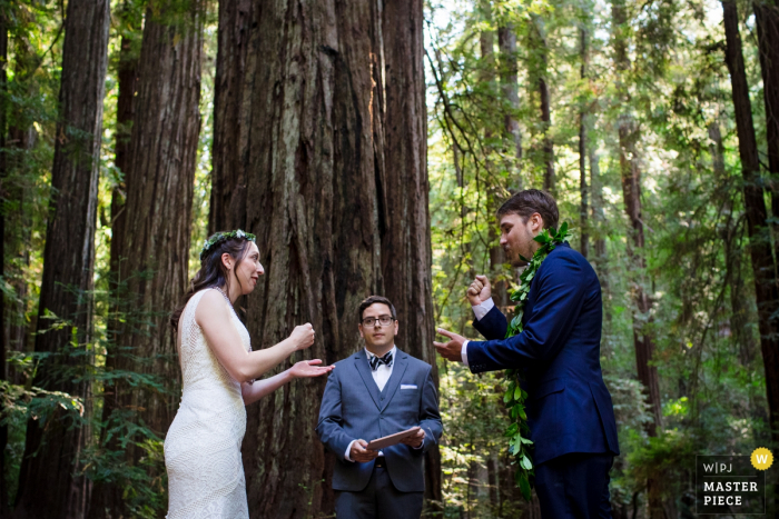 A imagem do casamento de fuga da Reserva Natural de Armstrong Redwoods State contém: A noiva e o noivo usam adivinhação para decidir quem fala primeiro durante a cerimônia