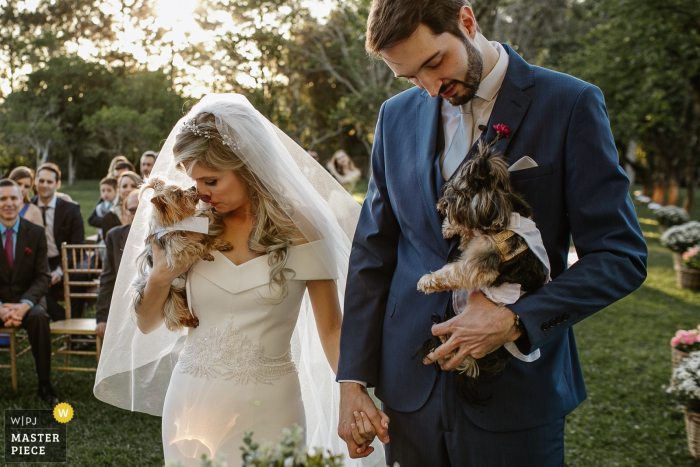 Photo by: <a href="https://www.wpja.com/contests/2019-v19/best-wedding-photographers/2571897">Renan Radici - Porto Alegre Rio Grande do Sul</a> Alameda da Figueira wedding ceremony image of the bride being licked by a dog