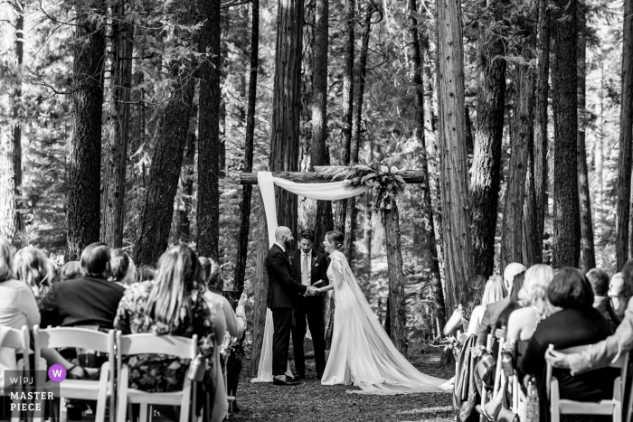 Una novia y el novio intercambian votos en su boda en Twenty Mile House.