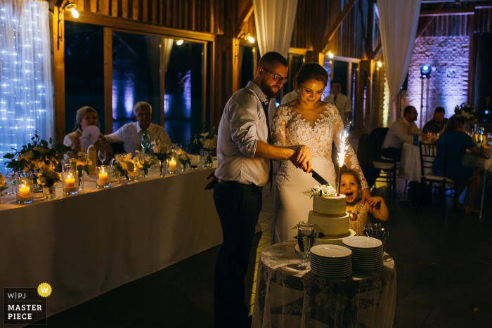 Eslováquia, Lucenec fotos do casamento no local da recepção | Filha adorável da noiva e do noivo durante o corte do bolo