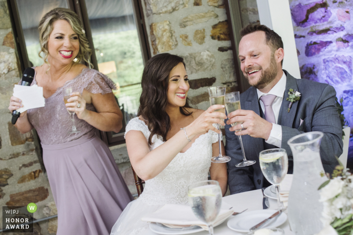 Horsham, PA wedding party toasts to the couple - Cheers photo