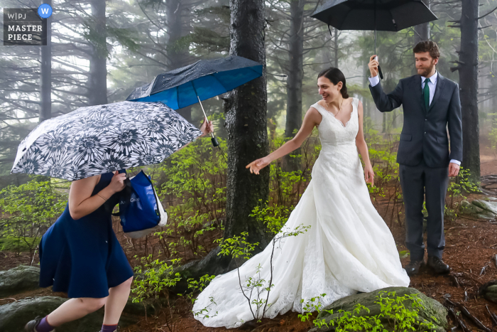 Black Balsam Knob, NC Wedding photo of the bride reaching for an umbrella on this rainy day wedding